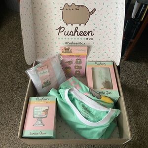 Partial Pusheen Box Summer 2021